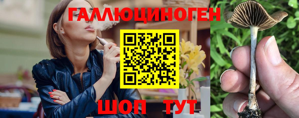 Миасс  закладки  Вход с VPN  Галлюциногенные грибы Psilocybine cubensis 
